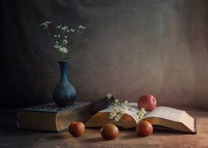 Madeliefjes, boeken en appels