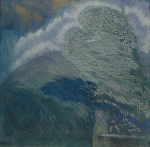 Stormliefhebbers