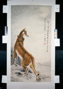 Tijger