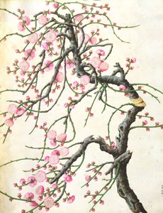 Perzikbloesem door Qing Dynasty Chinese School