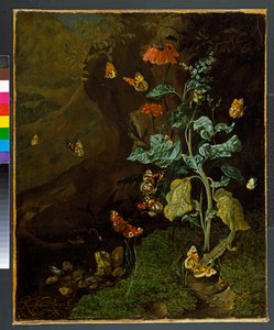 Stilleven met bloemen, vlinders en een hagedis in een dal, voor 1750 door Rachel Ruysch