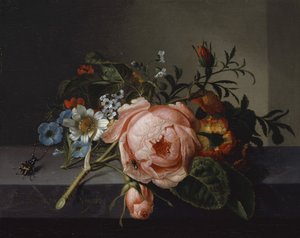 Stilleven met rozentak, kever en bij, 1741