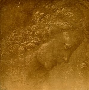 Studie van een engelenhoofd door Raffaellino del Garbo