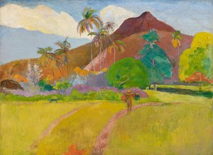 Tahitiaans landschap