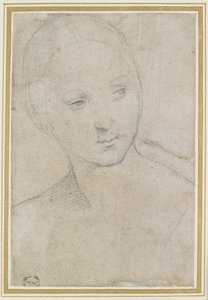 Studie van het hoofd van een jonge vrouw door Raffaello Sanzio Raphael