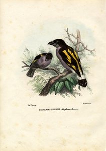 Breedbekken, 1863-79