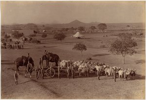 Zware veldbatterij, Jhansi door Raja Deen Dayal