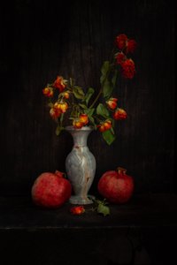  door Ramiz Sahin