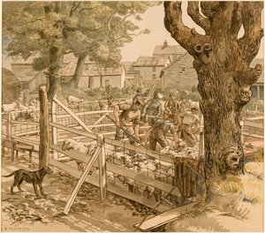 Schapen dopen, Cornwall door Randolph Schwabe