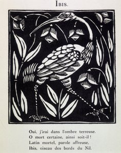 Ibis - in "Le Bestiaire ou cortege d
