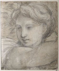 Raffaello Sanzio - Hoofd van een Engel door Raphael (1483-1520), ca. 1520 - Zwart en wit krijt op papier, 30,8x25,4 - Szépművészeti Múzeum, Boedapest