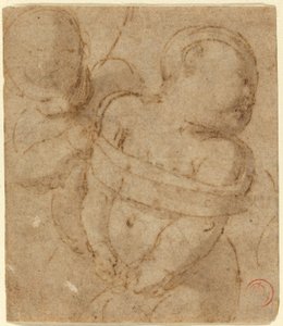 Gebonden Cupido door Raphael