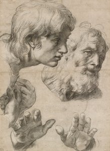 Studies van de hoofden van twee apostelen en hun handen, 16e eeuw door Raphael