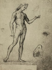 Mannelijk naaktstudie; tekening door Raphael