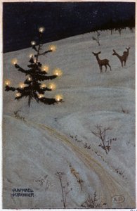 Kerstboom in de sneeuw