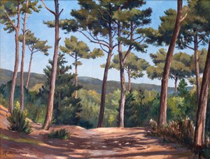  door Raymond Bonnefon