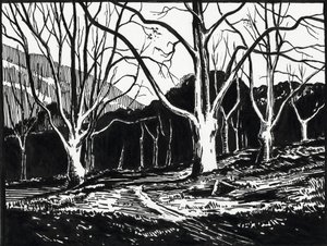  door Raymond Bonnefon