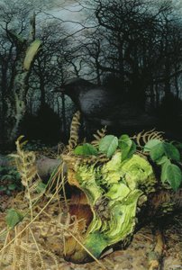 Midwinter in het bos door Raymond Booth