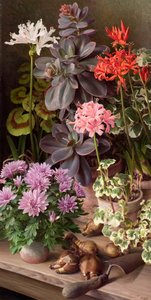 Oktober bloemen door Raymond Booth