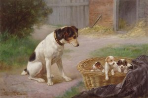 Een trotse moeder, ca. 1910