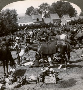 Troepen voeden hun paarden en rusten tijdens de mars, Eerste Wereldoorlog, 1914-1918