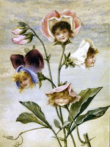 Geranium & Lathyrus - Bloemenkinderen - een paar