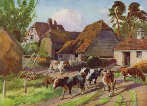 Illustratie voor Mijn Boerderij door Reginald Mills