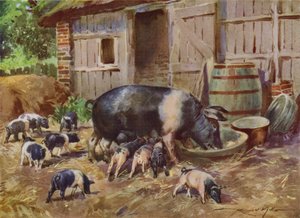 Illustratie voor Mijn Boerderij (kleur litho) door Reginald Mills