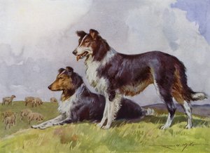 Illustratie voor Mijn Boerderij (kleur litho) door Reginald Mills