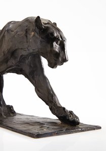 Panter lopend, achterpoot opgetild, ca.1904