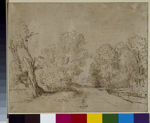 Een beboste weg, ca. 1650
