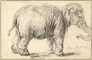Een Olifant, 1637 door Rembrandt van Rijn