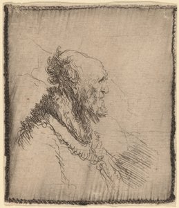 Kale Oude Man met een Korte Baard in Profiel, ca. 1635 door Rembrandt van Rijn