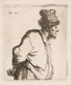 Boer met handen op de rug