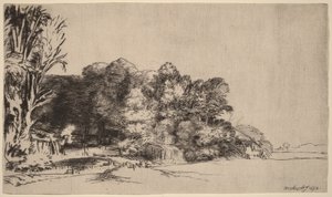 Een groepje bomen met een mooi uitzicht door Rembrandt van Rijn
