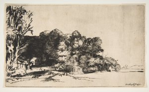 Boomgroep met een Uitzicht, 1652