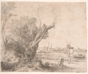Landschap. 