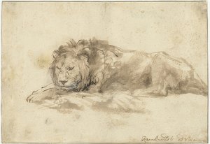 Liggende leeuw. 1650-59 door Rembrandt van Rijn