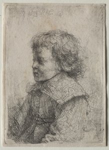 Portret van een Jongen in Profiel, 1641