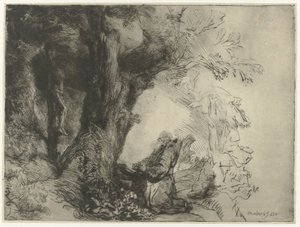 Sint Franciscus onder een boom, biddend door Rembrandt van Rijn