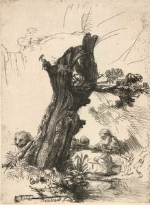 Sint Hiëronymus naast een geknotte wilg door Rembrandt van Rijn