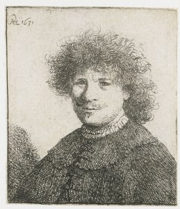 Zelfportret in een mantel met vallende kraag: buste door Rembrandt van Rijn