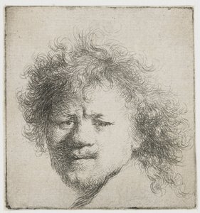 Zelfportret met lang, wild haar: alleen hoofd door Rembrandt van Rijn