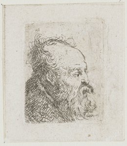 Blad met schetsen van mannenhoofden: oude, bebaarde man, bijna in profiel naar rechts: mond half open door Rembrandt van Rijn
