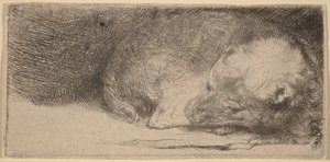  door Rembrandt van Rijn