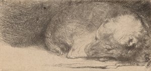 Slapende Puppy, c. 1640