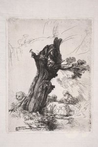 De heilige Hiëronymus, schrijvend bij een wilgenstam door Rembrandt van Rijn