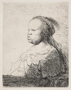 Het Witte Zwart door Rembrandt van Rijn