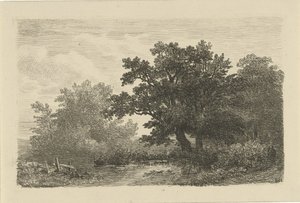 Bomen aan een plas door Remigius Adrianus Haanen