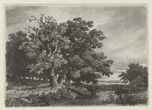 Bomen aan een plas met een bootje door Remigius Adrianus Haanen